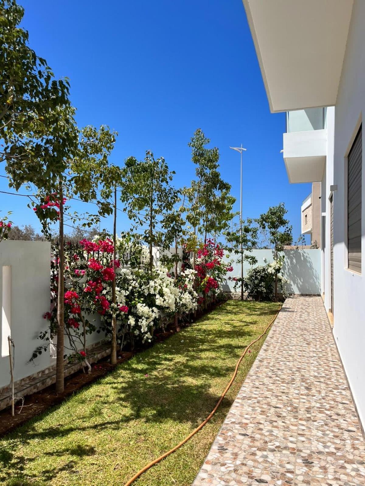 Villa Africa Essaouira Extérieur photo